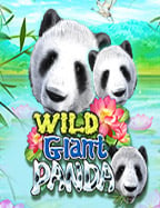 รีวิว Crazy 777 demo เกมสล็อตที่ต้องลอง